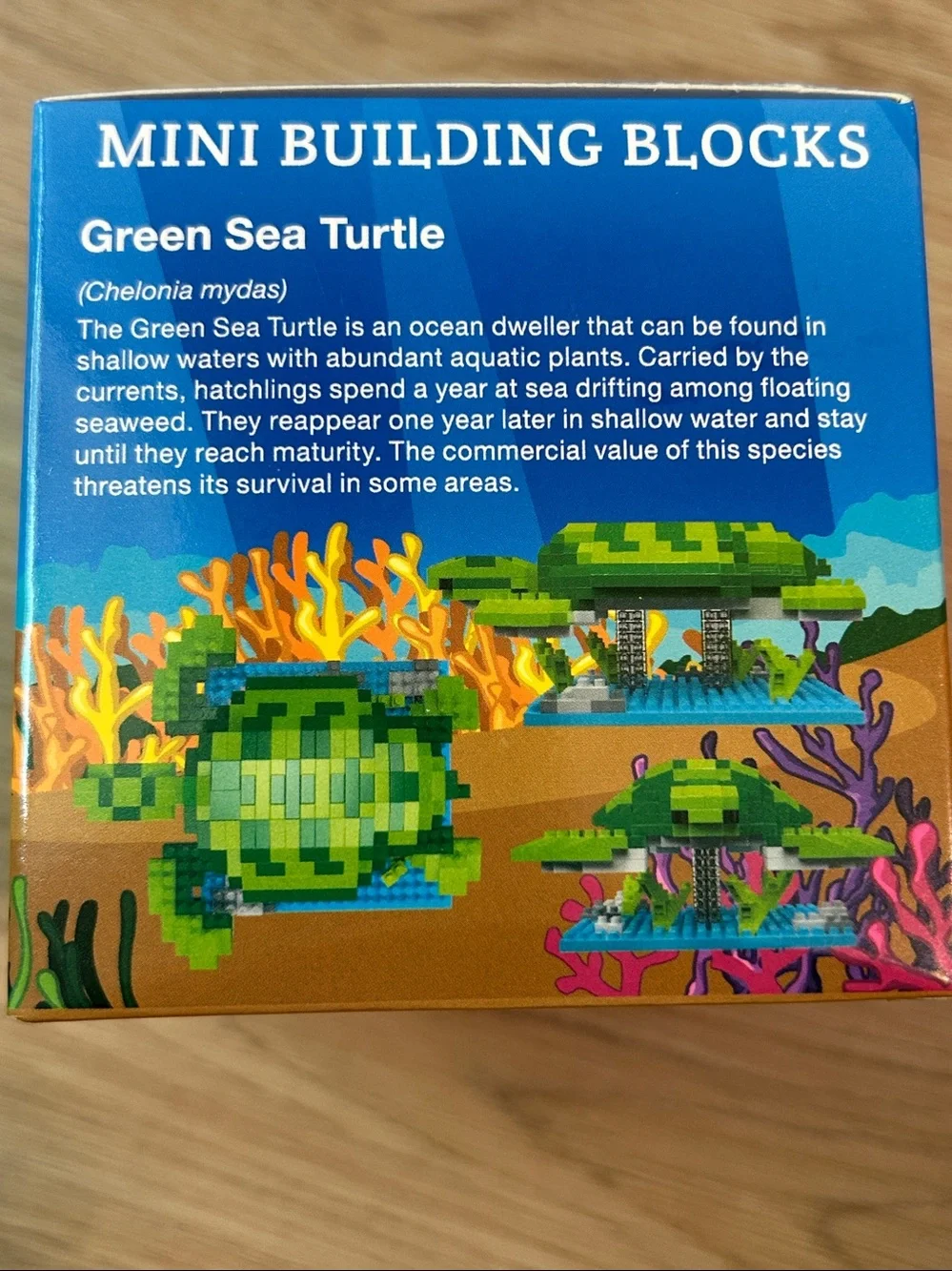 Mini Building Blocks Green Sea Turtle Toy Green Mini Building Blocks Sea Turtle